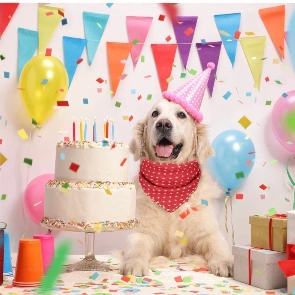 🎉HOST PICK! 🎉NWT Pet Bandana Washable Reversible